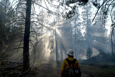 A firefighter walks through the Donnell Fire in the Stanislaus National Forest, California.