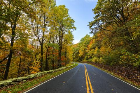 A view of Skyline Drive in the fall with the leaves changing