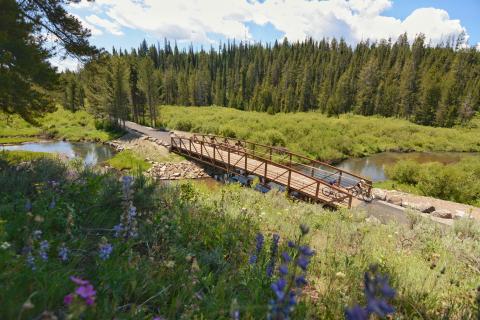 Two cyclists cross a bridge over the South Fork Madison River on the Yellowstone Shortline Trail