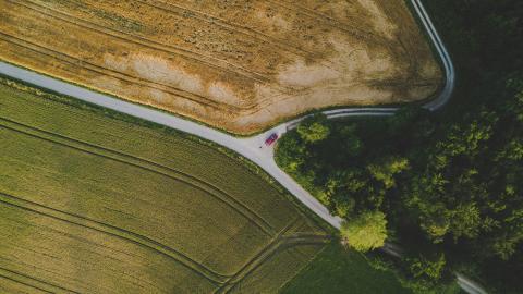 Aerial view of agricultural crop fields and a tree lot separated by two roads meeting at an intersection